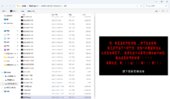 ZAMV 3.5 Chinese Translation